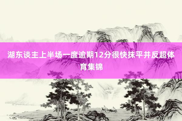 湖东谈主上半场一度逾期12分很快抹平并反超体育集锦