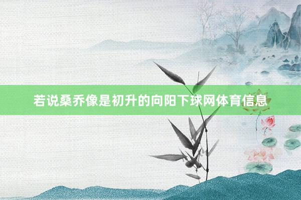 若说桑乔像是初升的向阳下球网体育信息