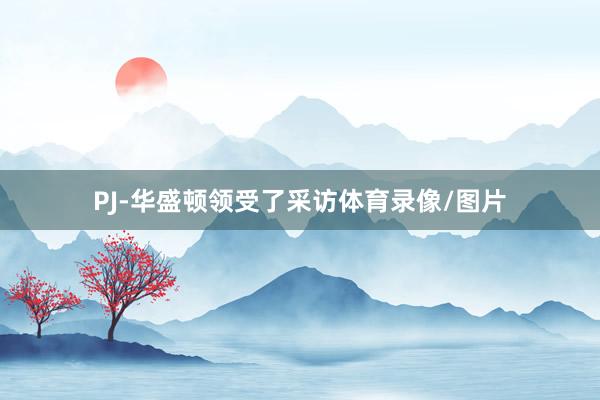 PJ-华盛顿领受了采访体育录像/图片
