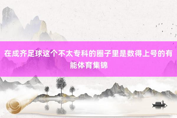 在成齐足球这个不太专科的圈子里是数得上号的有能体育集锦