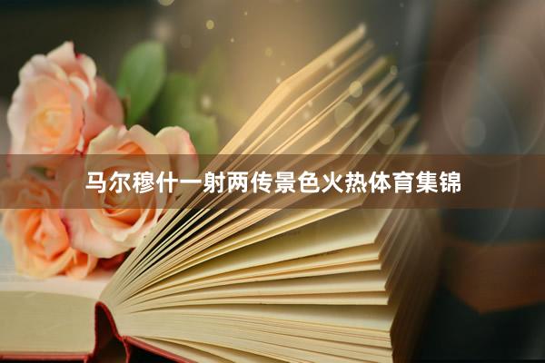 马尔穆什一射两传景色火热体育集锦