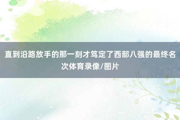 直到沿路放手的那一刻才笃定了西部八强的最终名次体育录像/图片
