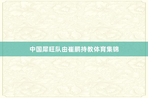 中国犀旺队由崔鹏持教体育集锦