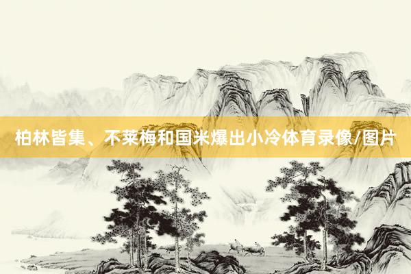 柏林皆集、不莱梅和国米爆出小冷体育录像/图片