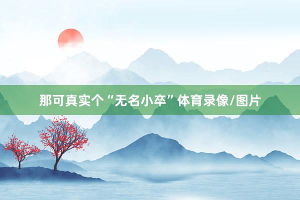 那可真实个“无名小卒”体育录像/图片