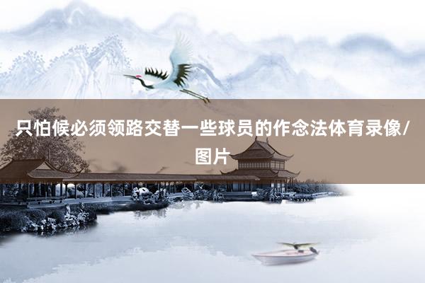 只怕候必须领路交替一些球员的作念法体育录像/图片