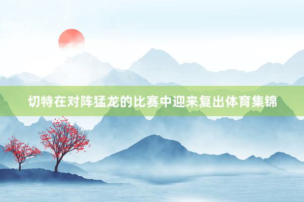 切特在对阵猛龙的比赛中迎来复出体育集锦