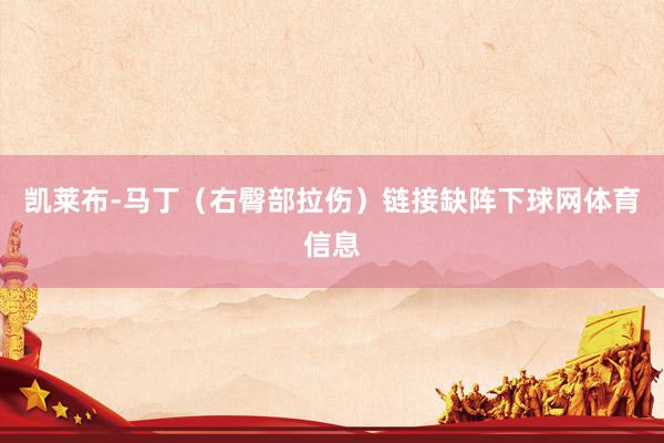 凯莱布-马丁（右臀部拉伤）链接缺阵下球网体育信息