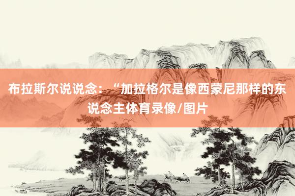 布拉斯尔说说念：“加拉格尔是像西蒙尼那样的东说念主体育录像/图片