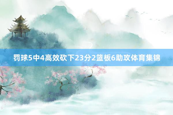 罚球5中4高效砍下23分2篮板6助攻体育集锦