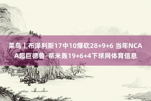 菜鸟丨布泽利斯17中10爆砍28+9+6 当年NCAA超巨德鲁-蒂米轰19+6+4下球网体育信息