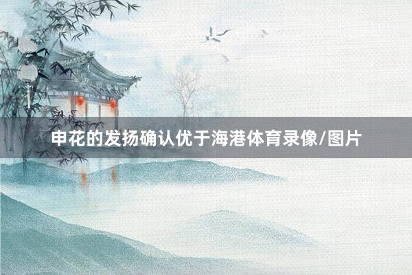 申花的发扬确认优于海港体育录像/图片