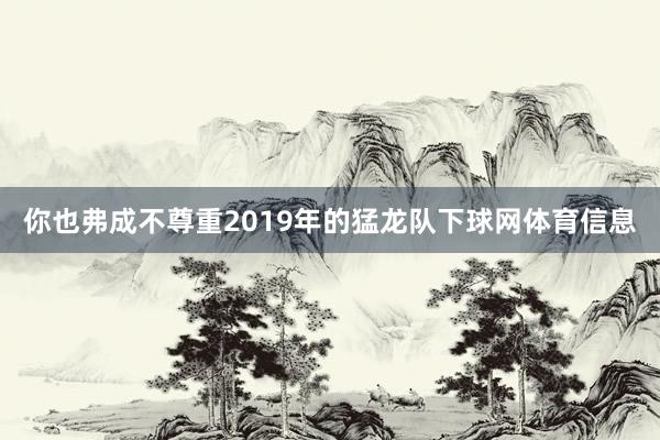 你也弗成不尊重2019年的猛龙队下球网体育信息