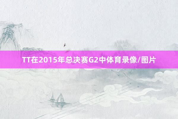 TT在2015年总决赛G2中体育录像/图片