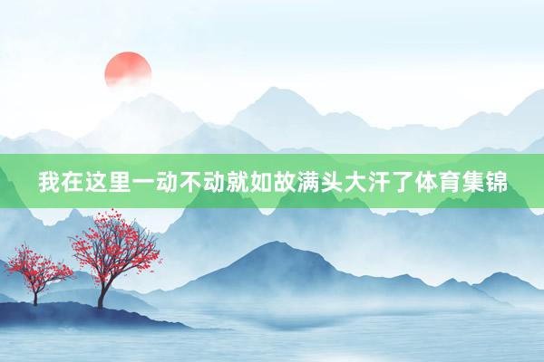 我在这里一动不动就如故满头大汗了体育集锦