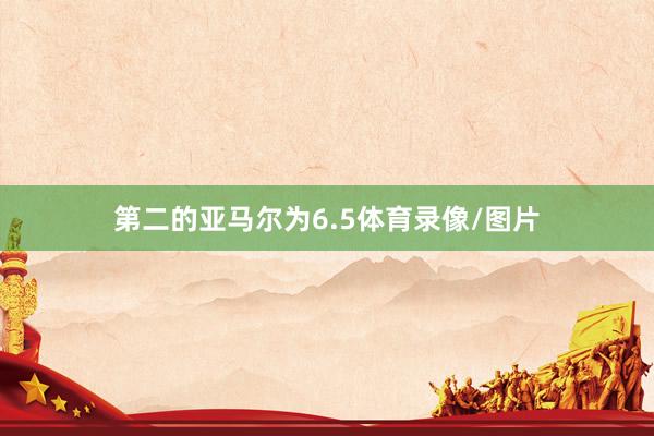 第二的亚马尔为6.5体育录像/图片