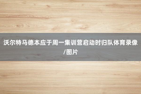 沃尔特马德本应于周一集训营启动时归队体育录像/图片